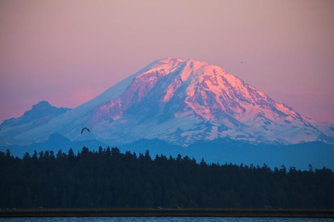 Mt Rainier